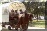 02 Floralia Festival 11-8-2007.jpg (311839 bytes)